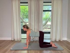 Clases de yoga y meditación online en vivo grupales - Imagen 2